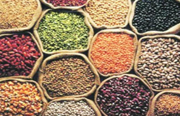 Tur and Urad dal, import restriction