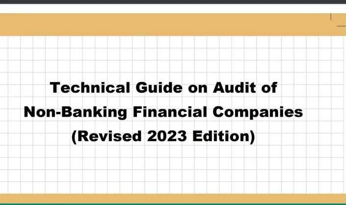guidelines on audit of bank