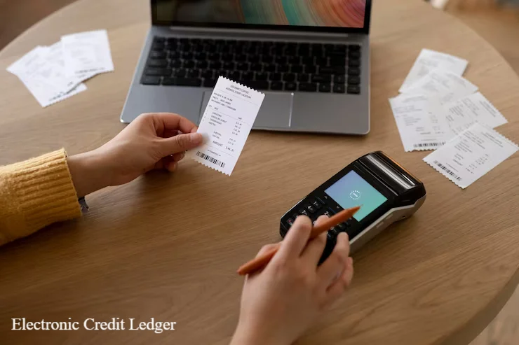 electronic cash ledger