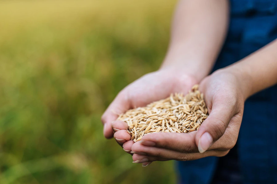 Agriculture produce