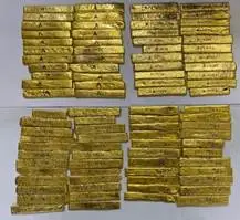 Gold Seizer by DRI,