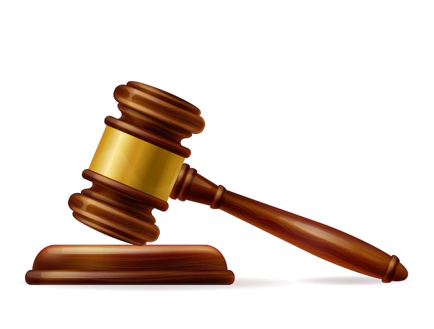 Designated special court,