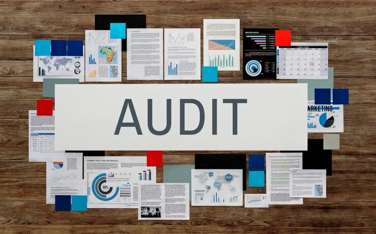 Audit Report filing data,