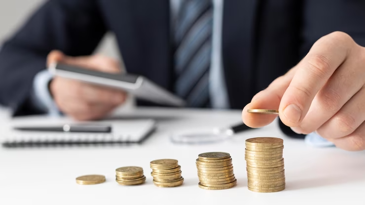 capital revenue expenditure_mmtaxclub