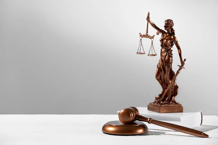 online court Judgement